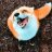 Red_Fox