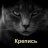 Кот ученый