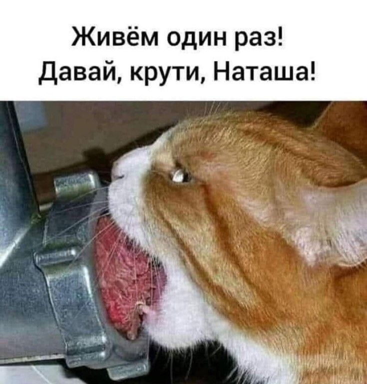 d0b0a84379fff6aa3bd4bb55bb64ad66.jpg
