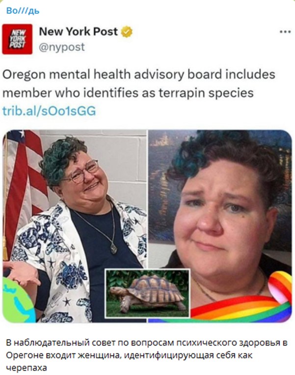 9976914_original.jpg
