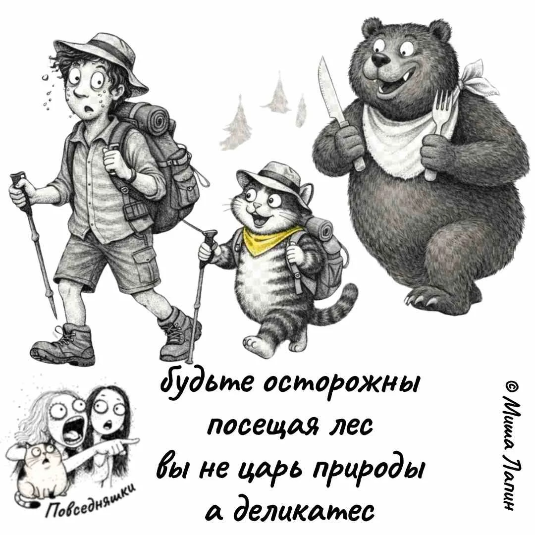 9955287_original.jpg