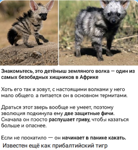 10059111_original.jpg