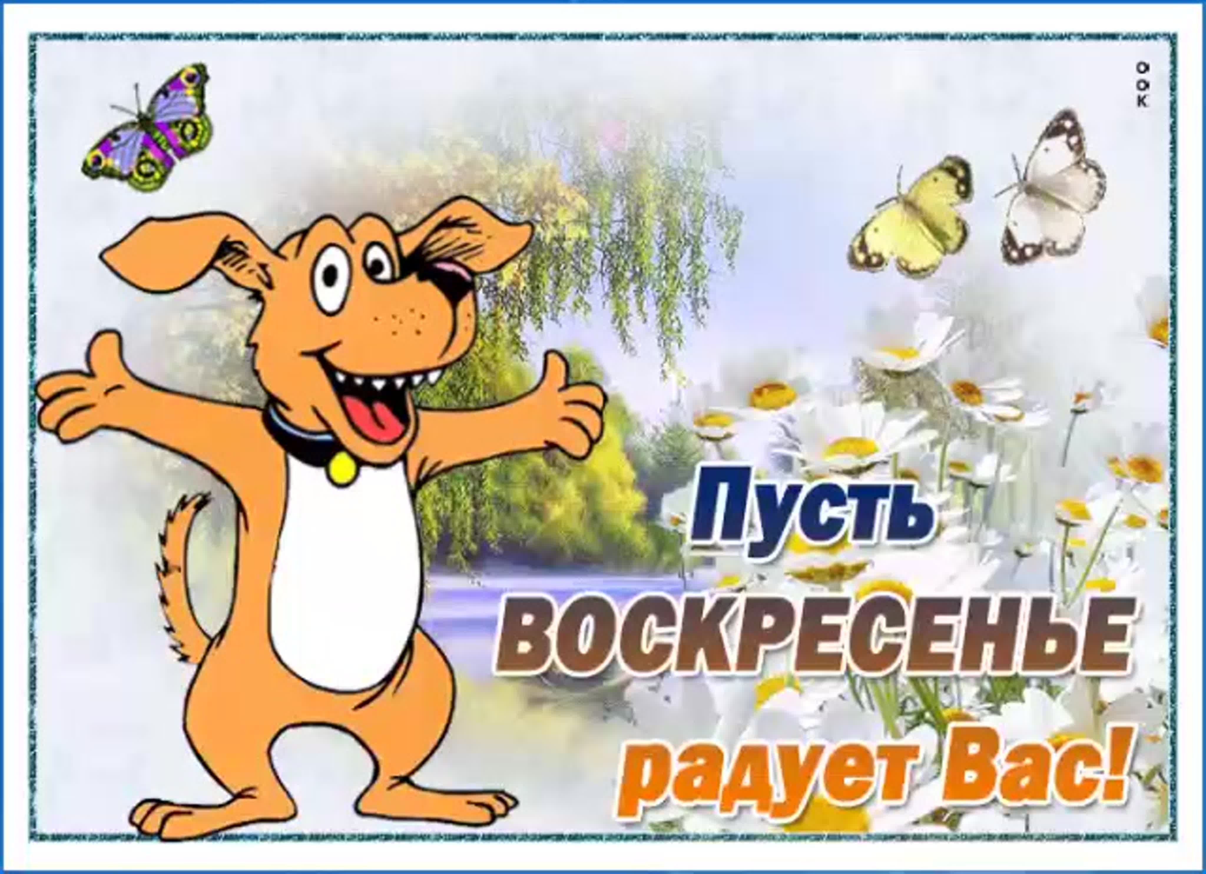 bf82d554c3d6e6090111340dad60b85e.jpg