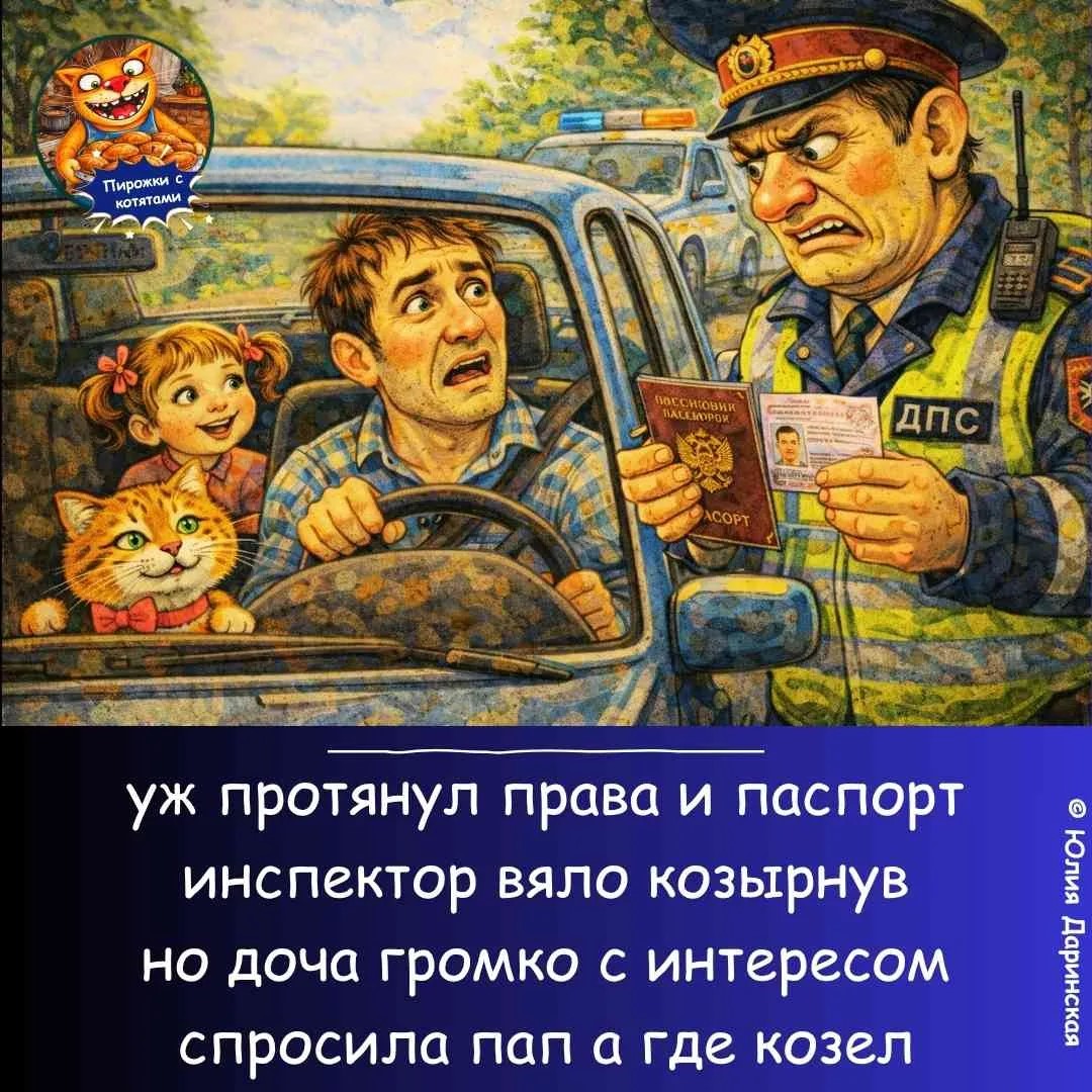 9991635_original.jpg