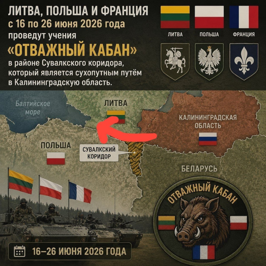 6565080_900.jpg