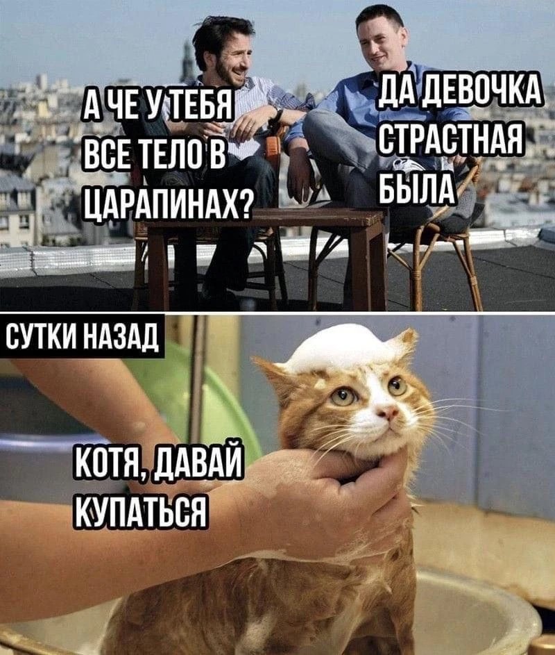 10045045_original.jpg