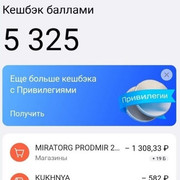 viplachenny-kechbeck-po-akcii-gazprombanka4.jpg