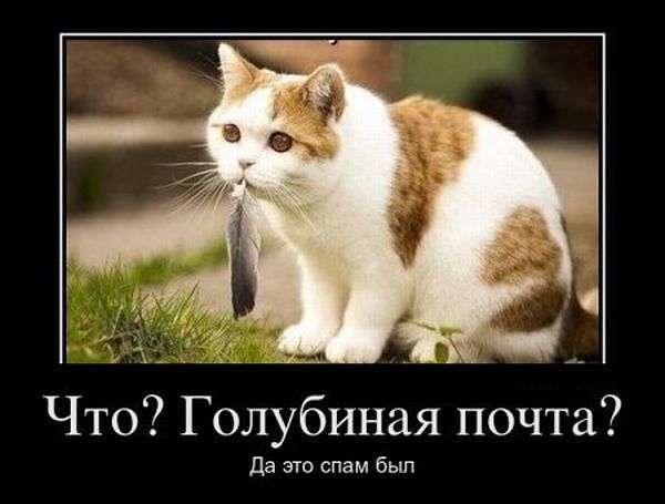 7cdfcc1eac5be1a493c7047d32b9be80.jpg