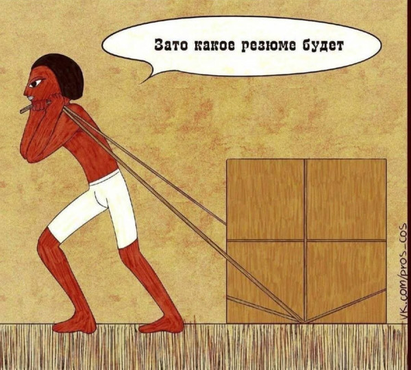 10017243_original.jpg
