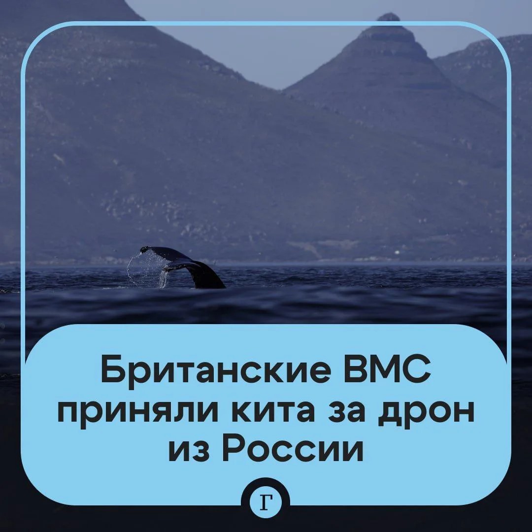 9981468_original.jpg