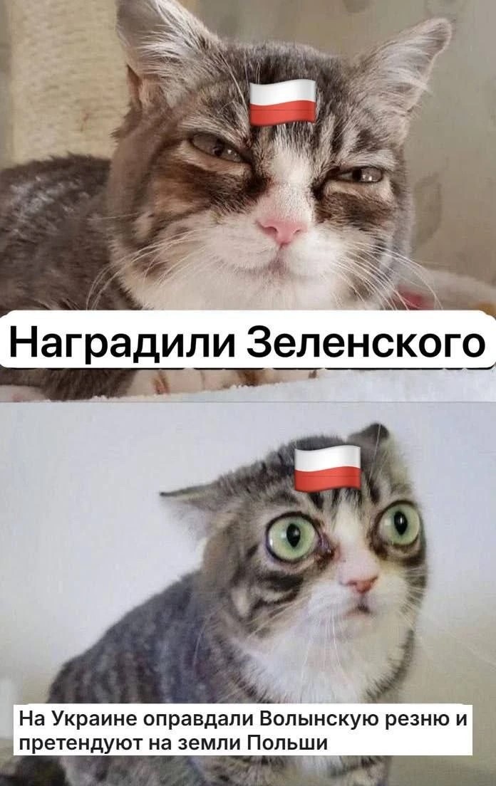 10072624_original.jpg