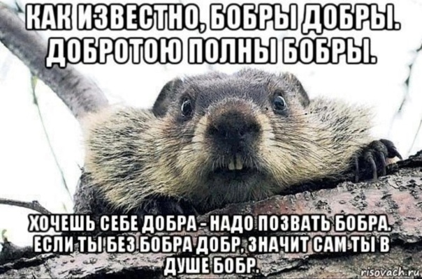 e72ad14c73321e1b1679772def9136f9.jpg