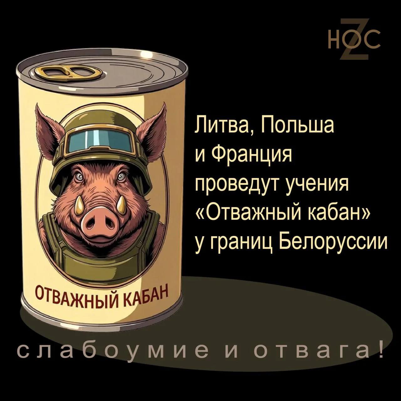 10111419_original.jpg