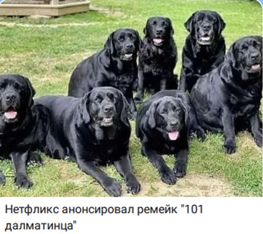9967650_original.jpg