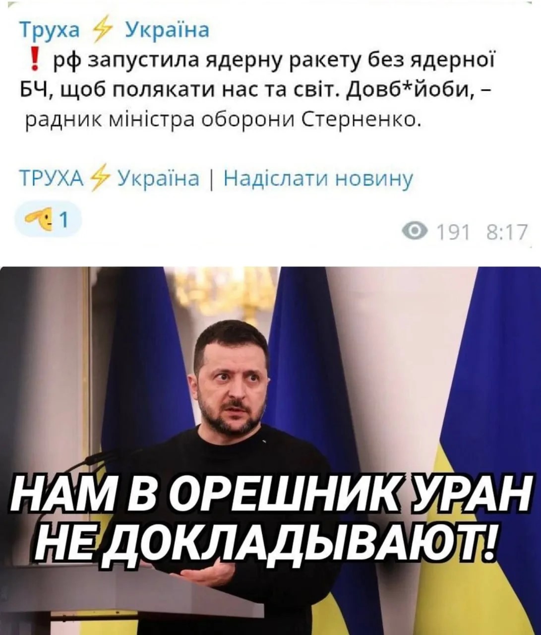 10051565_original.jpg