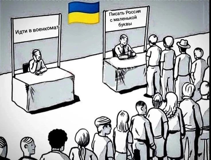 9973830_original.jpg