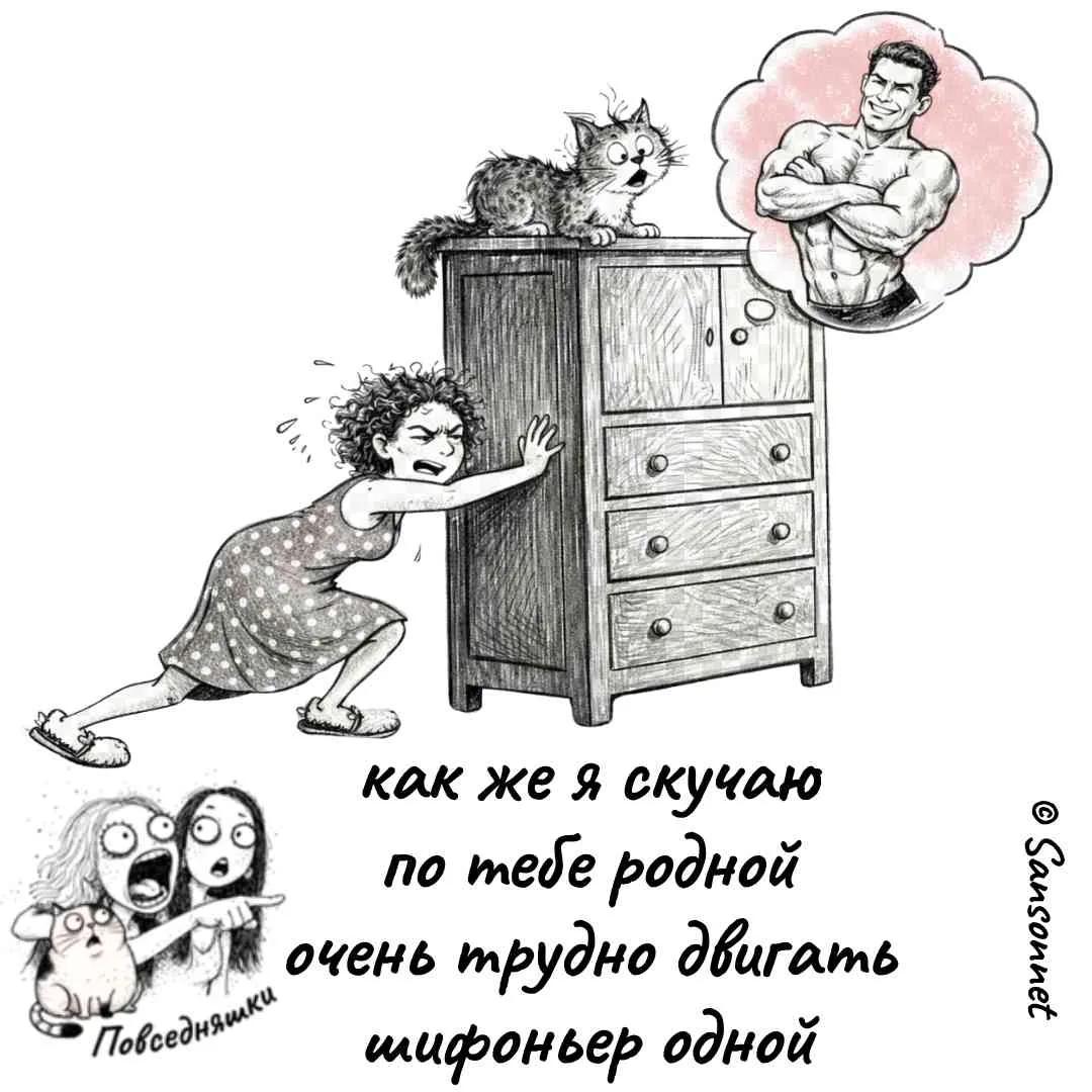 10114462_original.jpg