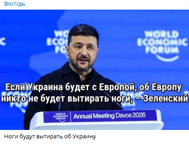 9983536_original.jpg