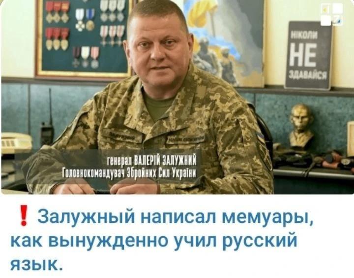 10095853_original.jpg