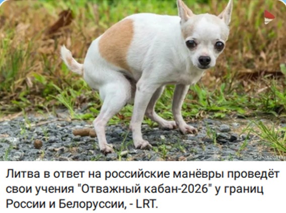 10109135_original.jpg